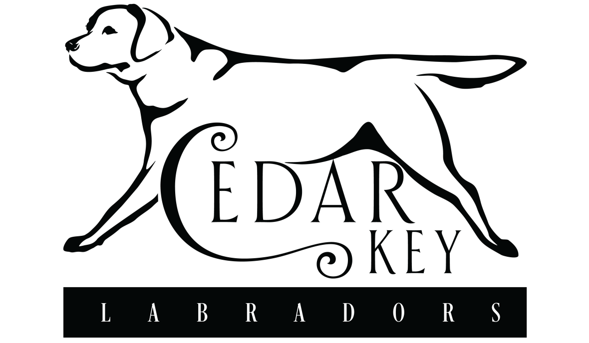 Cedar Key Labradors